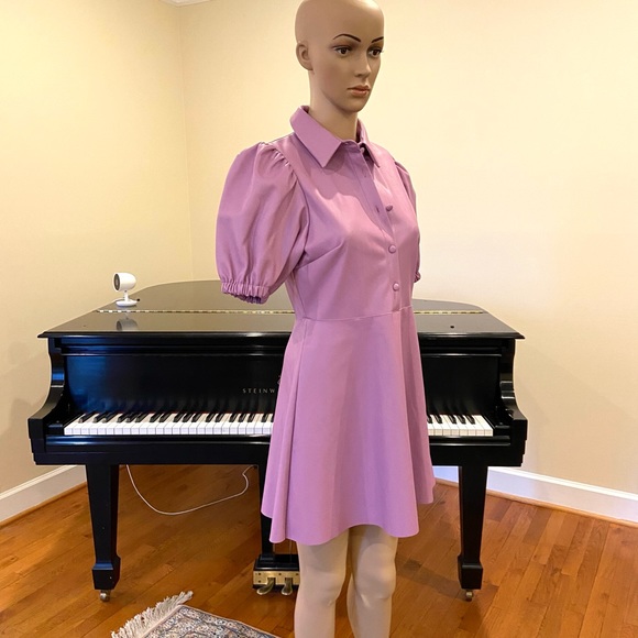 NWT Zara luxury faux leather mauve mini dress - Picture 15 of 16